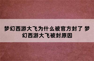 梦幻西游大飞为什么被官方封了 梦幻西游大飞被封原因